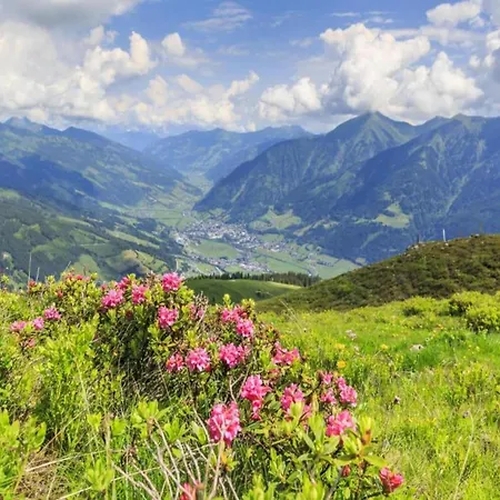 In Near Grafenberg Lift Apartment *
